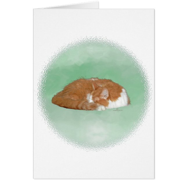 Napping Orange Kitty (Front)