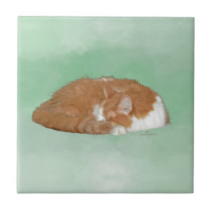 Napping Orange Kitty Tile