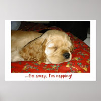 Napping