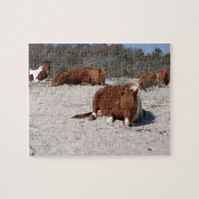 Napping Wild Ponies at Assateague National Park Jigsaw Puzzle (Horizontal)