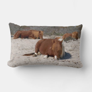 Napping Wild Ponies at Assateague National Park Lumbar Cushion