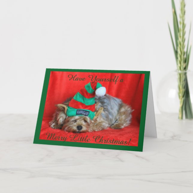 Napping Yorkie Wearing Elf Hat Holiday Card (Front)
