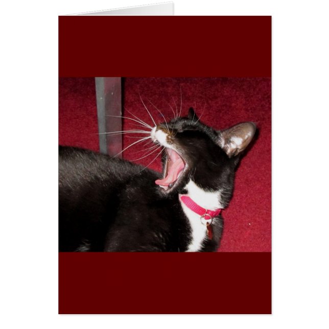 Naptime For Lucy (Front)