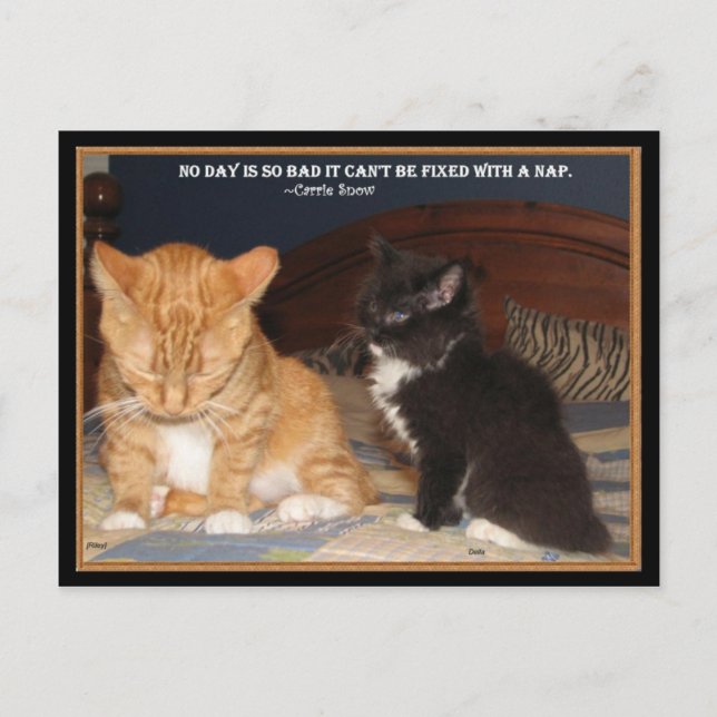 Naptime! Postcard (Front)