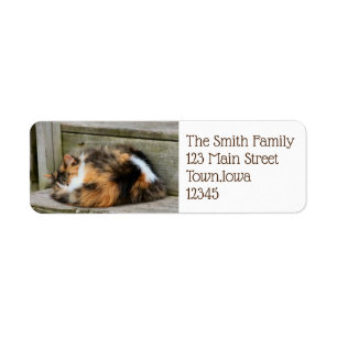 Naptime Return Address Label