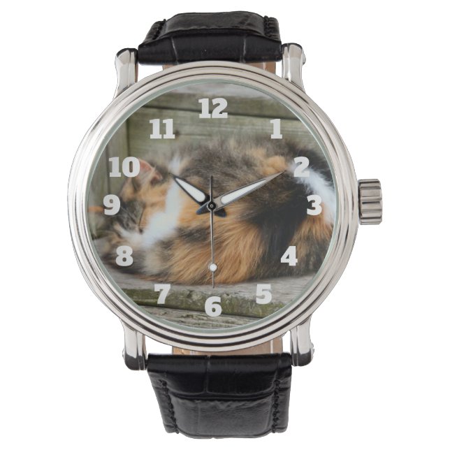 Naptime Watch (Front)