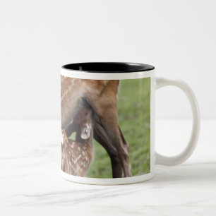 Nara Prefecture, Honshu, Japan 2 Two-Tone Coffee Mug