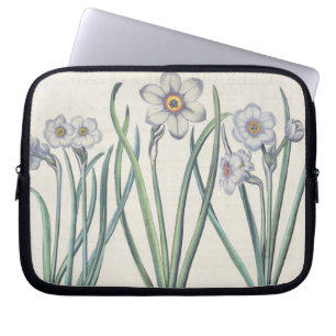 Narcissi: 1.Narcissus maximus medio purpureus; 2.N Laptop Sleeve