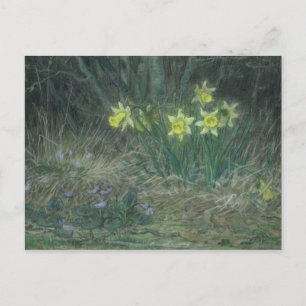 Narcissi and Violets, c.1867 Postcard