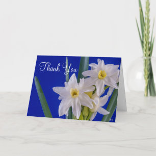 Narcissus Blank Thank You Card