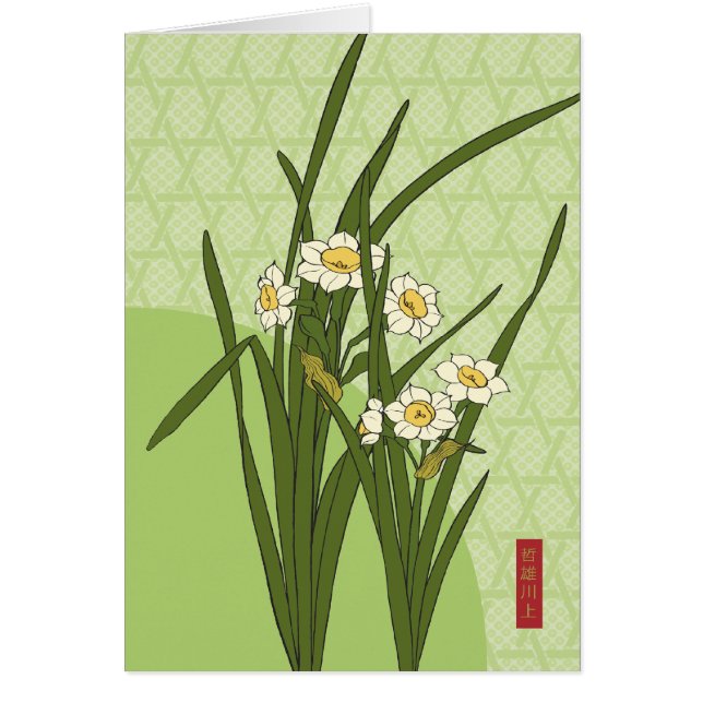 Narcissus Bloom (Front)