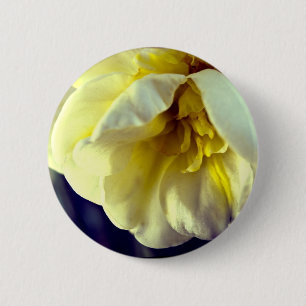 Narcissus Daffodil 6 Cm Round Badge