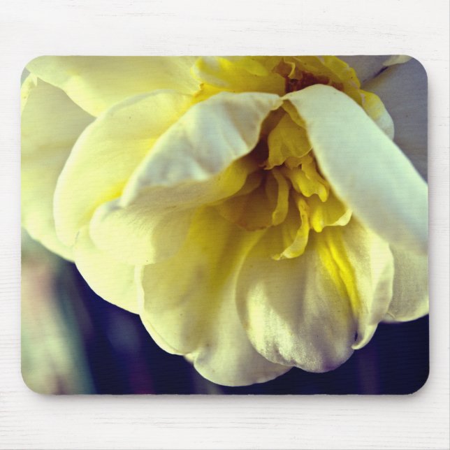 Narcissus Daffodil Mouse Pad (Front)