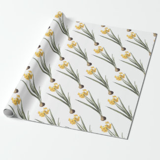 Narcissus Flower Pattern Wrapping Paper