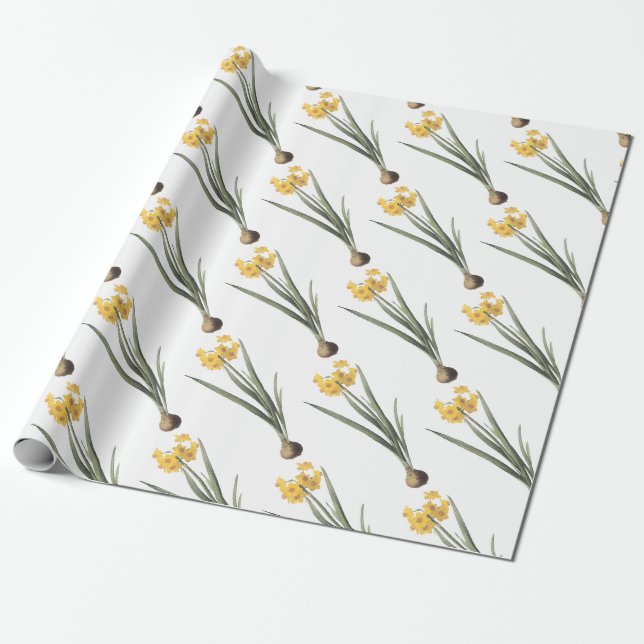 Narcissus Flower Pattern Wrapping Paper (Unrolled)