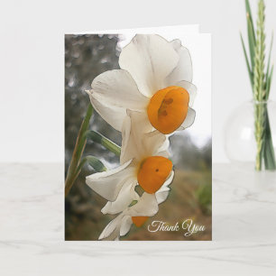 Narcissus. Flower. Thank You Card