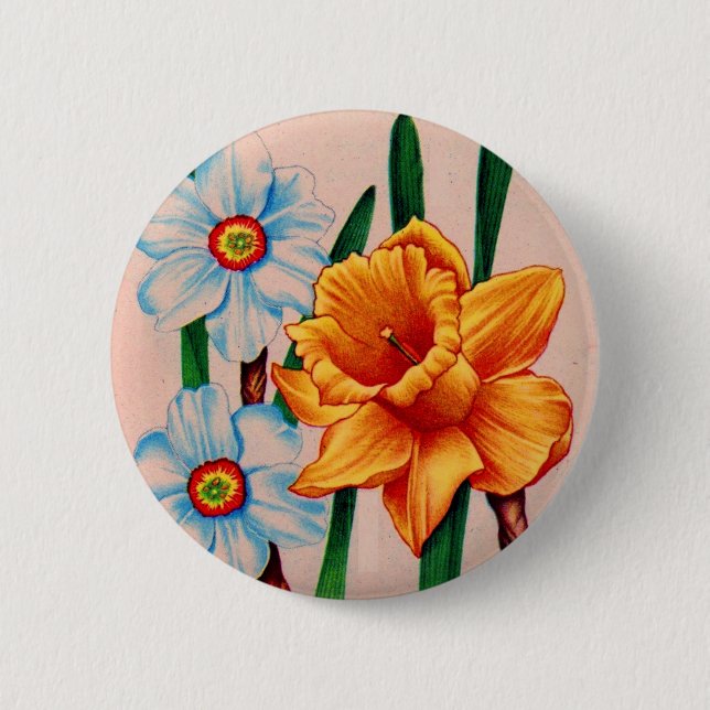 narcissus flowers 6 cm round badge (Front)