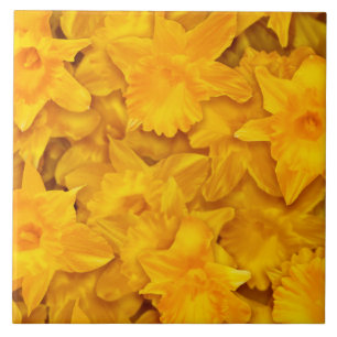Narcissus Flowers Ceramic Tile
