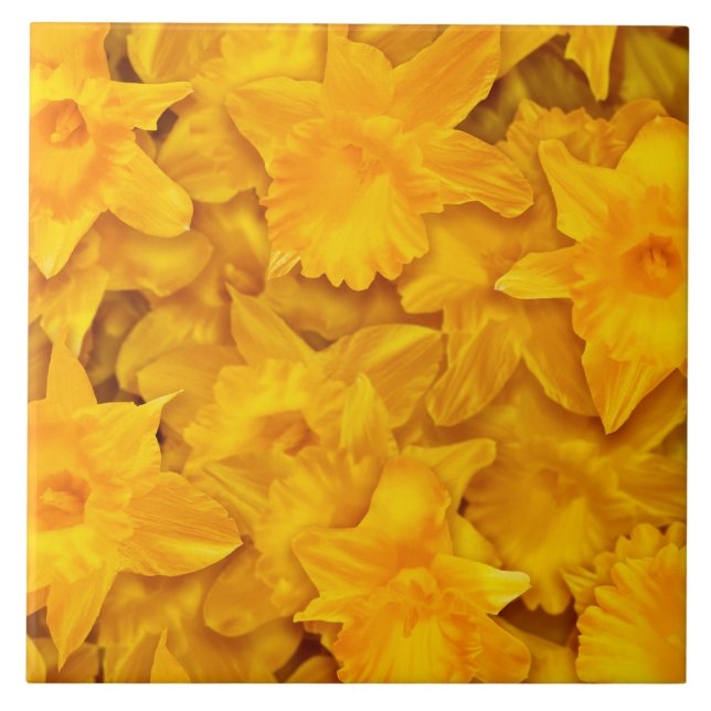Narcissus Flowers Ceramic Tile (Front)