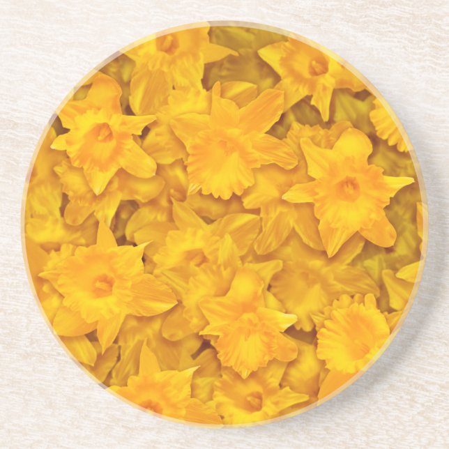Narcissus Flowers Coaster (Front)
