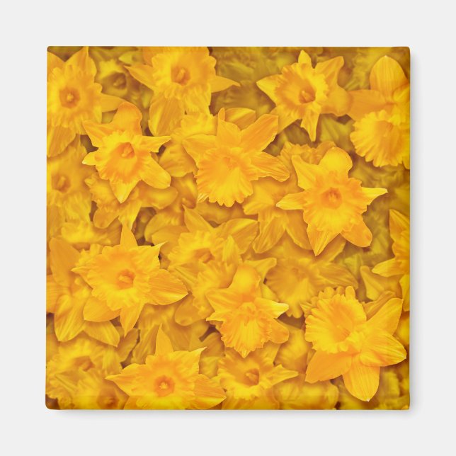 Narcissus Flowers Magnet (Front)