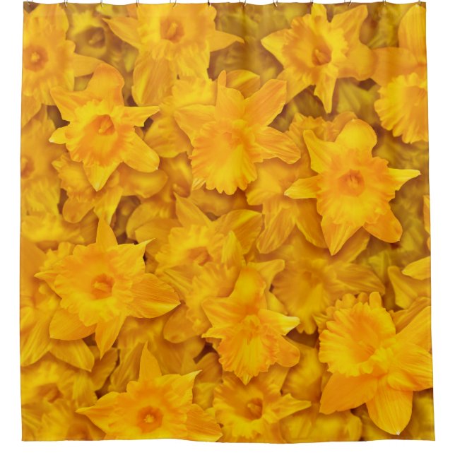 Narcissus Flowers Shower Curtain (Front)