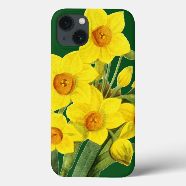 Narcissus (N Tazetta) Case-Mate iPhone Case (Back)