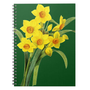 Narcissus (N Tazetta) Notebook