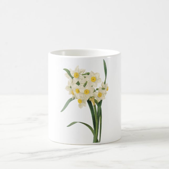 narcissus(Narcissus tazetta) by Redouté Coffee Mug (Center)
