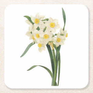narcissus(Narcissus tazetta) by Redouté Square Paper Coaster