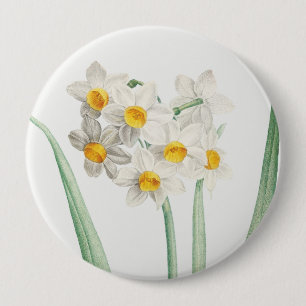 Narcissus, Pierre-Joseph Redouté, 1805 10 Cm Round Badge