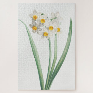 Narcissus, Pierre-Joseph Redouté, 1805 Jigsaw Puzzle