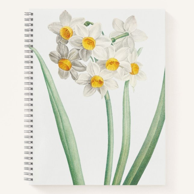 Narcissus, Pierre-Joseph Redouté, 1805 Notebook (Front)