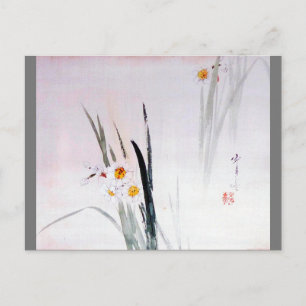 Narcissus, Watanabe Seitei Postcard