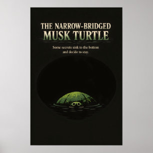 Narrow-Bridged Musk Turtle Art Poster