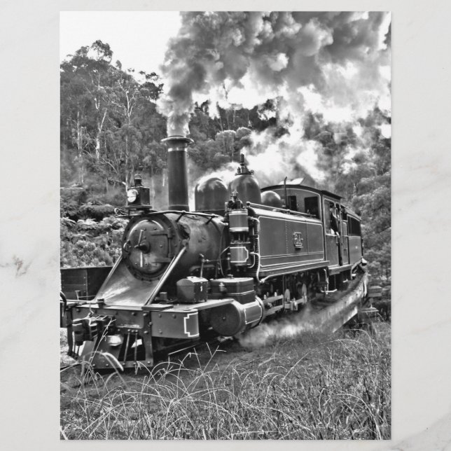 Narrow Gauge Steam Train Black and White (Front)