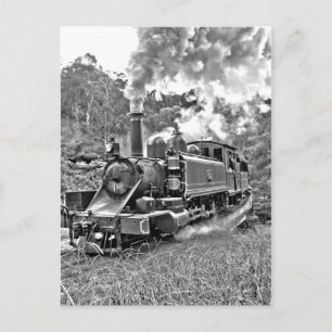 Narrow Gauge Steam Train Black and White Postcard