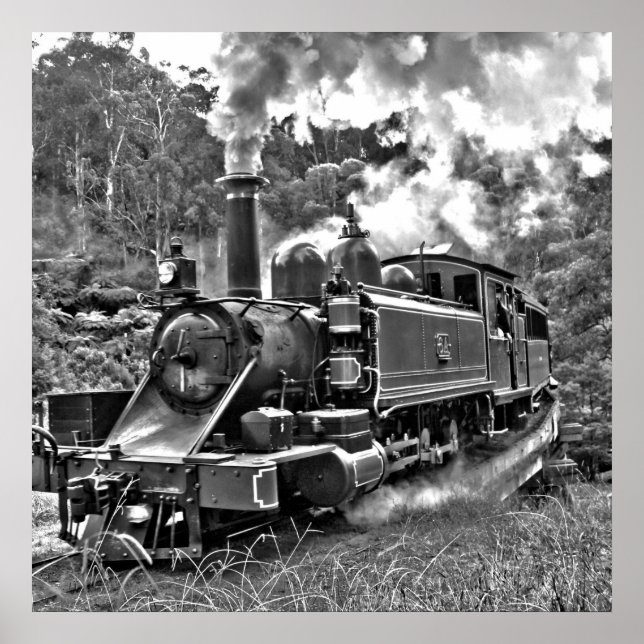 Narrow Gauge Steam Train Puffing Engine Poster (Front)