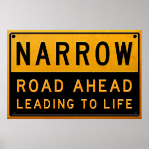 Narrow Road To Life Poster