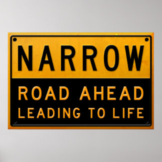 Narrow Road To Life Poster