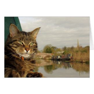 Narrowboat Cat Canal Scene at Braunston.