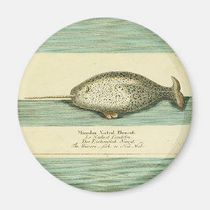 Narwhal Antique Whale Watercolor Painting Magnet