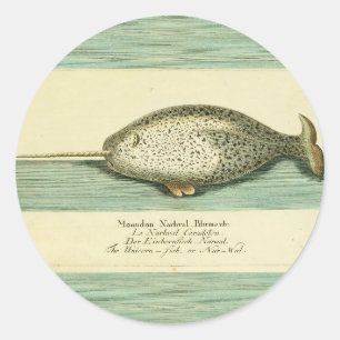 Narwhal Antique Whale Watercolor Scientific Art Classic Round Sticker