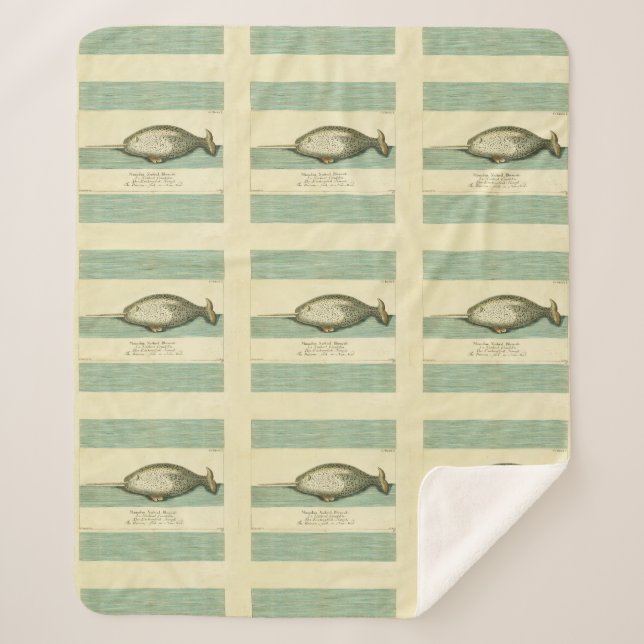 Narwhal Antique Whale Watercolor Scientific Art Sherpa Blanket (Front)