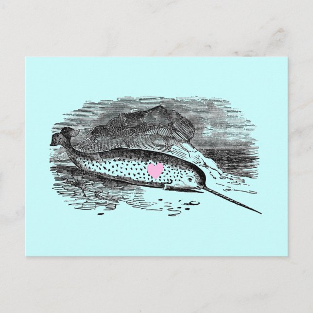 Narwhal Heart Postcard (Front)