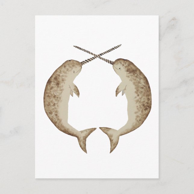 Narwhal Postcard (Front)