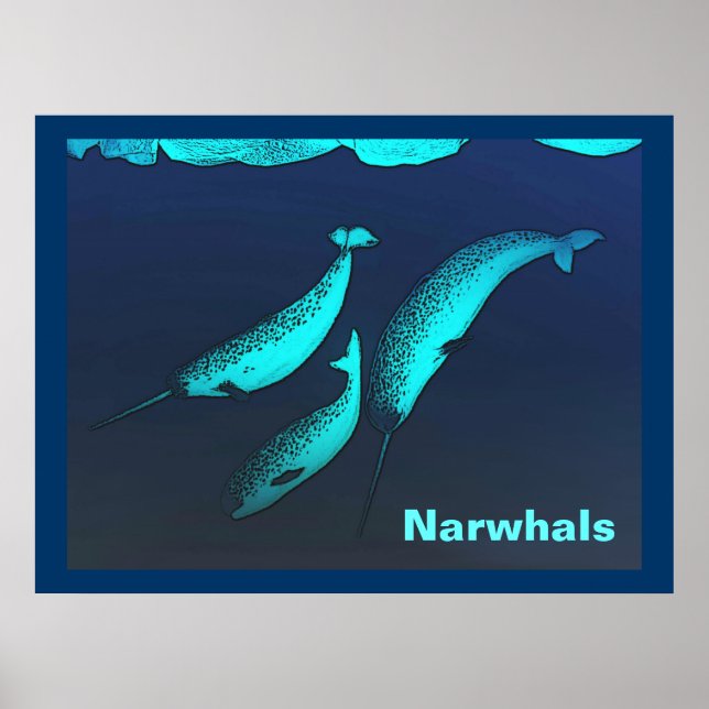 Narwhal Poster (Front)