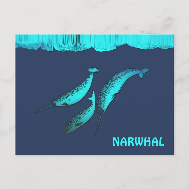 Narwhal  Under The Ice Postcard (Front)