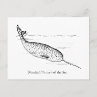 Narwhal Whale Unicorn of the Sea