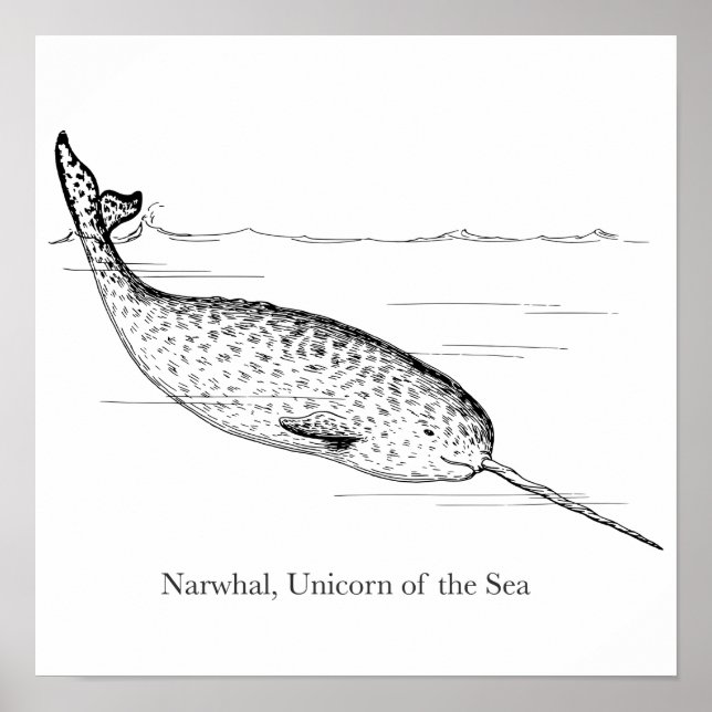 Narwhal Whale Unicorn of the Sea Poster (Front)